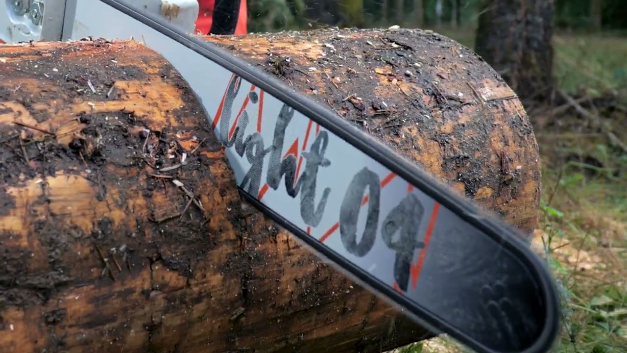 c0b2a9f5-1f69-41d0-cf7c-08ddd52d820d