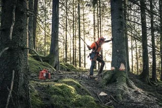 8de228ec-50bf-4628-c8aa-08dda3861bcc