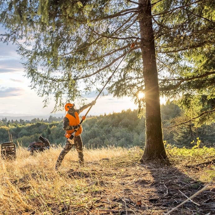 a6ac97f9-5e06-4181-b48c-08dd7dabaef6