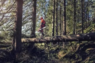 be041059-24a3-4b8b-c8ad-08dda3861bcc