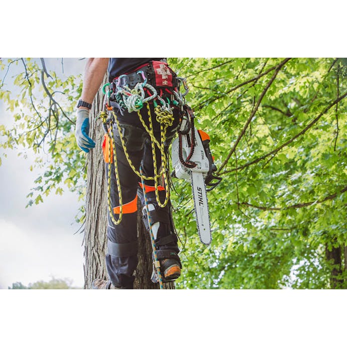 759d6715-8993-4398-921a-08dd96d0d69d